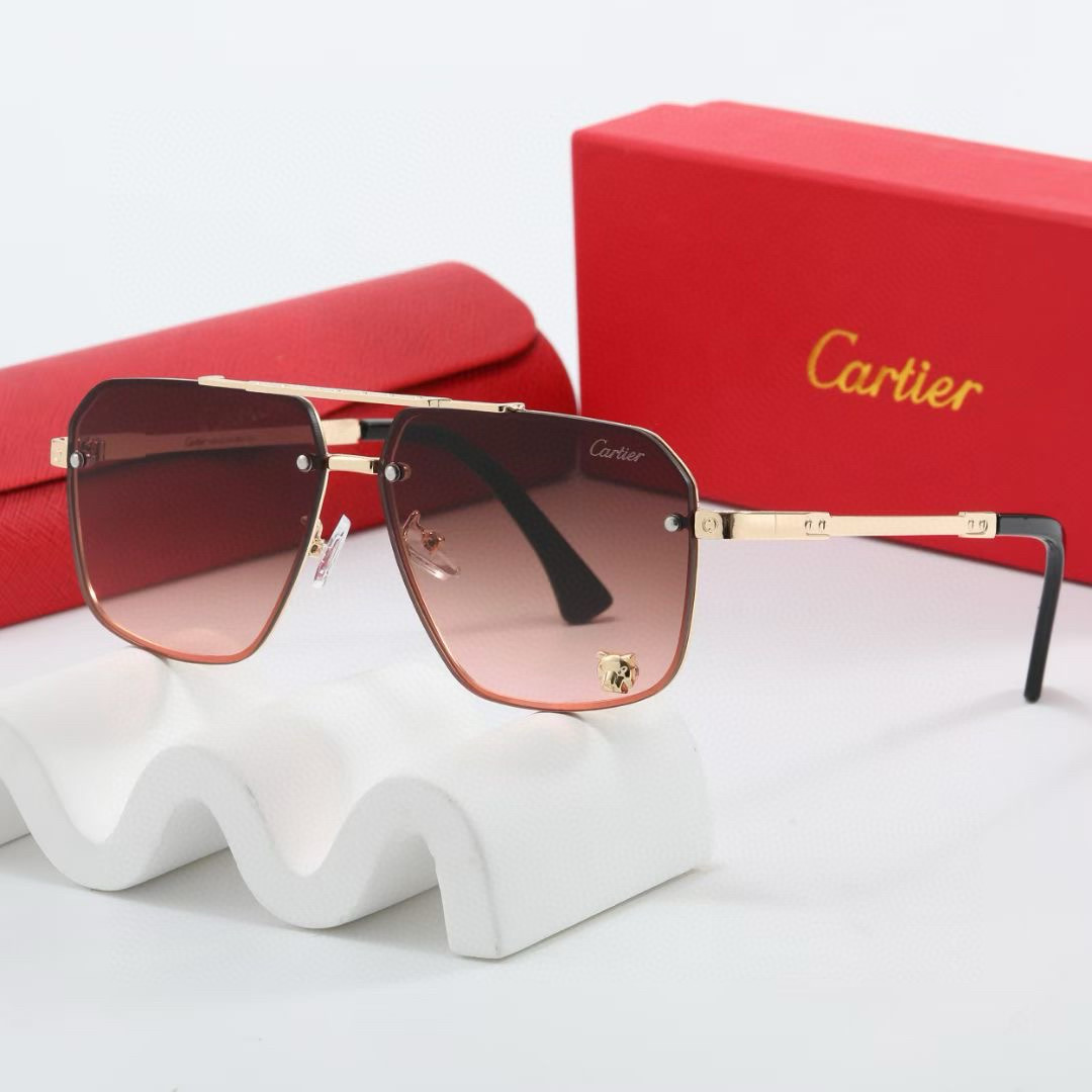 Cartier sunglasses-C5931S